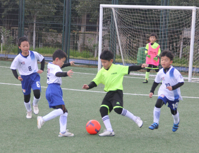 完善的点评系统艺体课程缩水等现象保证所有规定课程开齐开足