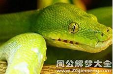 分歧是什么意思